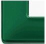 Plate 5M BS Reflex emerald