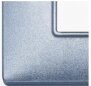 Plate 5M BS techn. metallized blue